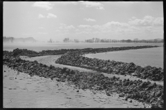 2348_After the Connecticut River had subsided near Hatfield, Massachusetts]