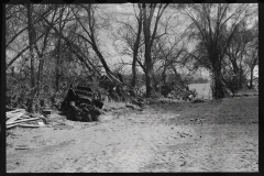 2366_After the Connecticut River had subsided near Hatfield, Massachusetts