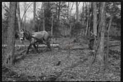 2370_Resettlement worker near Kingston, New York, Ulster County