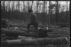 2371_Resettlement worker near Kingston, New York, Ulster County