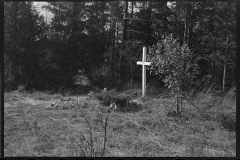 2382_  Lonely cross and abandoned log  rollway  , Au Sable River, Michigan