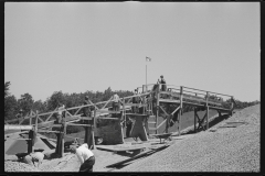 2389_Black-American workers, Newport News Homesteads, Virginia