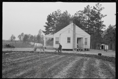 2395_Probably  first ploughing of land , Homestead,  Briar Patch Project, Eatonton, Georgia.