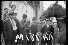 2536_Judging Horses  at the fair, Albany, Vermont