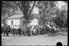 2537_Horses at the fair, Albany, Vermont