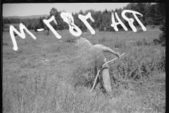 2547_Clearing ground with scythe , probably Lowell Vermont.