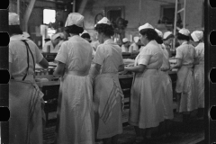 2666_Women workers , many migrant, canning grapefruit ,  Winter Haven , Florida