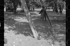 2680_Orange picking , possible migrant workers, Polk County, Florida