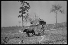 2760_ Ploughing , Macon County, Alabama,