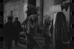 2767_Unloading Bananas. on the dock, Mobile, Alabama