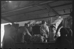 2768_Unloading Bananas. on the dock, Mobile, Alabama