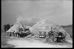 2790_ Full scale  mobile  threshing  with tractor , Frederick, Maryland