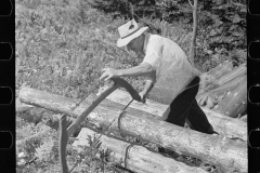 2814_Sawing Pulpwood on Kinneys' farm, Eden Mills, Vermont