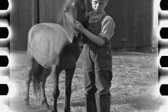 2847_Pony care , McNally Family Farm Kirby , Vermont