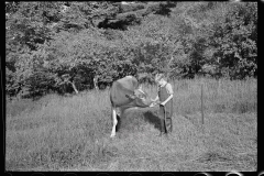 2857_  McNally Family  Farm, Kirby, Vermont