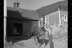 2858_  McNally Family Horse,  Kirby, Vermont