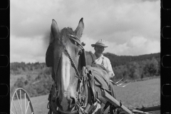 2874_Frank Kinney abord a hay rake, Eden Mills, Vermont