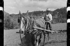 2876_Frank Kinney abord a hay rake, Eden Mills, Vermont