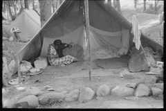 2958_Interior of migrant  Blueberry pickers' tent, near Little Fork, Minnesota