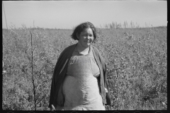 2986_ Indian woman , blueberry picker, near Little Fork, Minnesota
