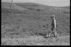 3004_Son of William Huravitch , carrying water from the source  to their home; . Williams County, North Dakota