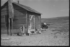 3010_ Children of Floyd Peaches, farmer, in the vicinity of Williston , North Dekota.