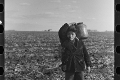 3016_Mexican boy  in beet field near East Grand Forks, Minnesota