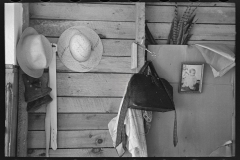 3027_Corner of a room in cut-over farmhouse, near Northome, Minnesota