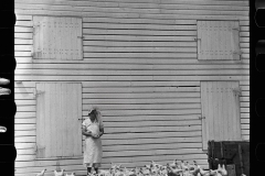 3085_Feeding the chickens outside the barn , Wabash Farms, Indiana]