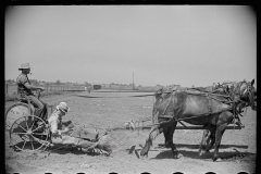 3091_Planting tomatoes