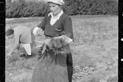 3160_Woman picking carrots, Camden County, New Jersey