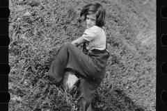 3180_ Possibly child labor in cranberry bog, Burlington County, New Jersey