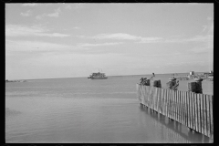 3195_Key West , The Florida Keys Ferryboat, Florida