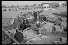 3198_Fishermen possibly mending their nets , Key West, Florida