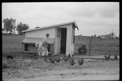 3220_ New hen house, Decatur  Homesteads