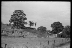 3223_Eroded farmland, Indiana