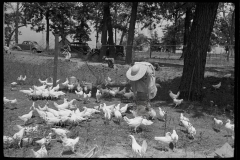 3227_Wife of homesteader in garden, Scioto Farms, Ohio