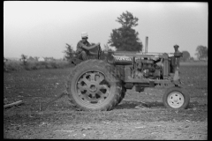 3293_Farmall row crop Tractor in use , Wabash Farms, Indiana