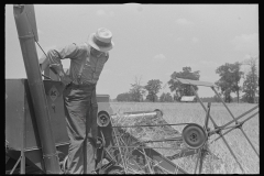 3349_ Threshing , central Ohio