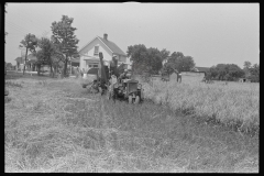 3351_Combing wheat , central Ohio