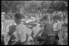 3372_Spectators at the county fair, central Ohio