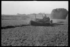 3387_Using a power rake on the alfalfa fields of Dawson County, Nebraska.