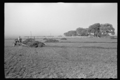 3390_Using a power rake on the alfalfa fields of Dawson County, Nebraska.