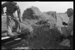 3470_ Jack Gardinier the tenant farmer. Ottawa County, Kansas