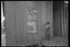 3524_Child of  sharecropper, playing primitive  violin. Missouri.