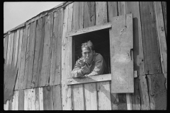 3595_Coal miner looks out of window in his home, Bertha Hill, Scotts Run, West Virginia