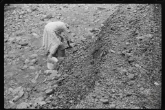 3651_Black-American woman picking up coal , Cassville