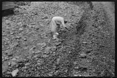 3652_Black-American woman picking up coal , Cassville