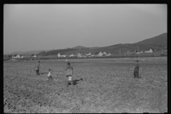 3711_Children digging potatoes community garden , Tygart Valley