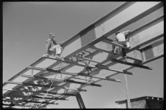 3722_Construction of new bridge, Tygart Valley Homesteads